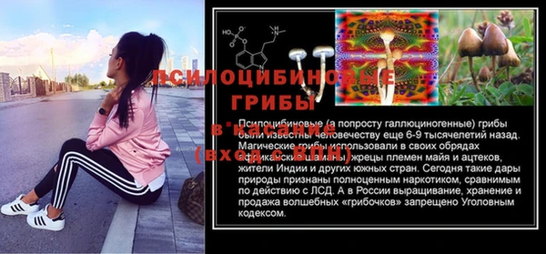 винт Алзамай