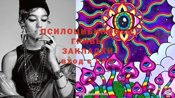 винт Алзамай