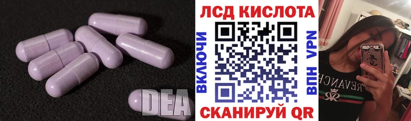 LSD-25 экстази кислота  гидра как зайти  Новочеркасск 
