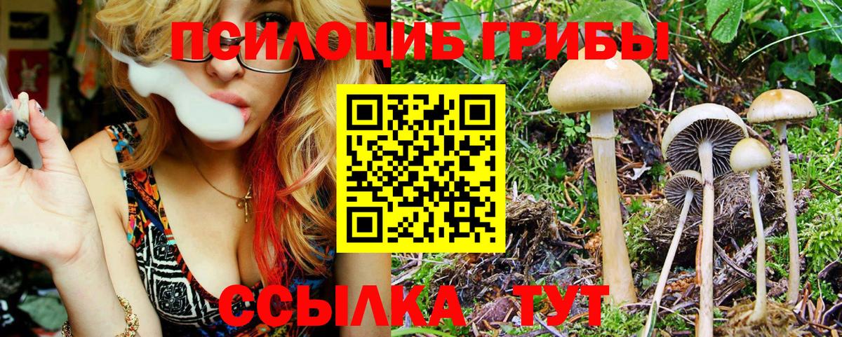 Псилоцибиновые грибы MAGIC MUSHROOMS  Вход с VPN  Псилоцибиновые грибы прущие грибы  Новочеркасск 