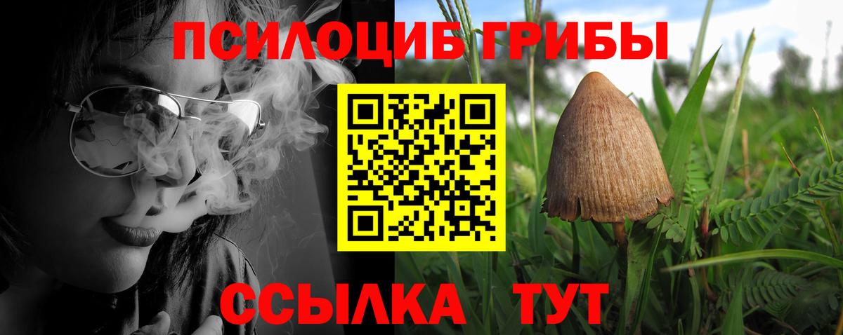 Галлюциногенные грибы Magic Shrooms Новочеркасск